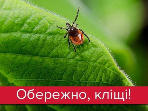 ХВОРОБА ЛАЙМА